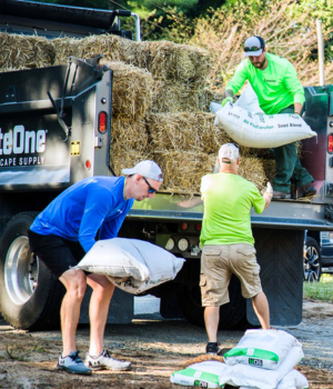 Champion Credit Union employees helping  distribute hay and soil. 